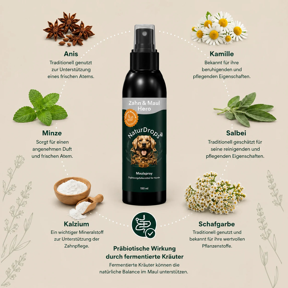 Zahn & Maul Hero Spray – Für die tägliche Zahn- und Maulpflege.