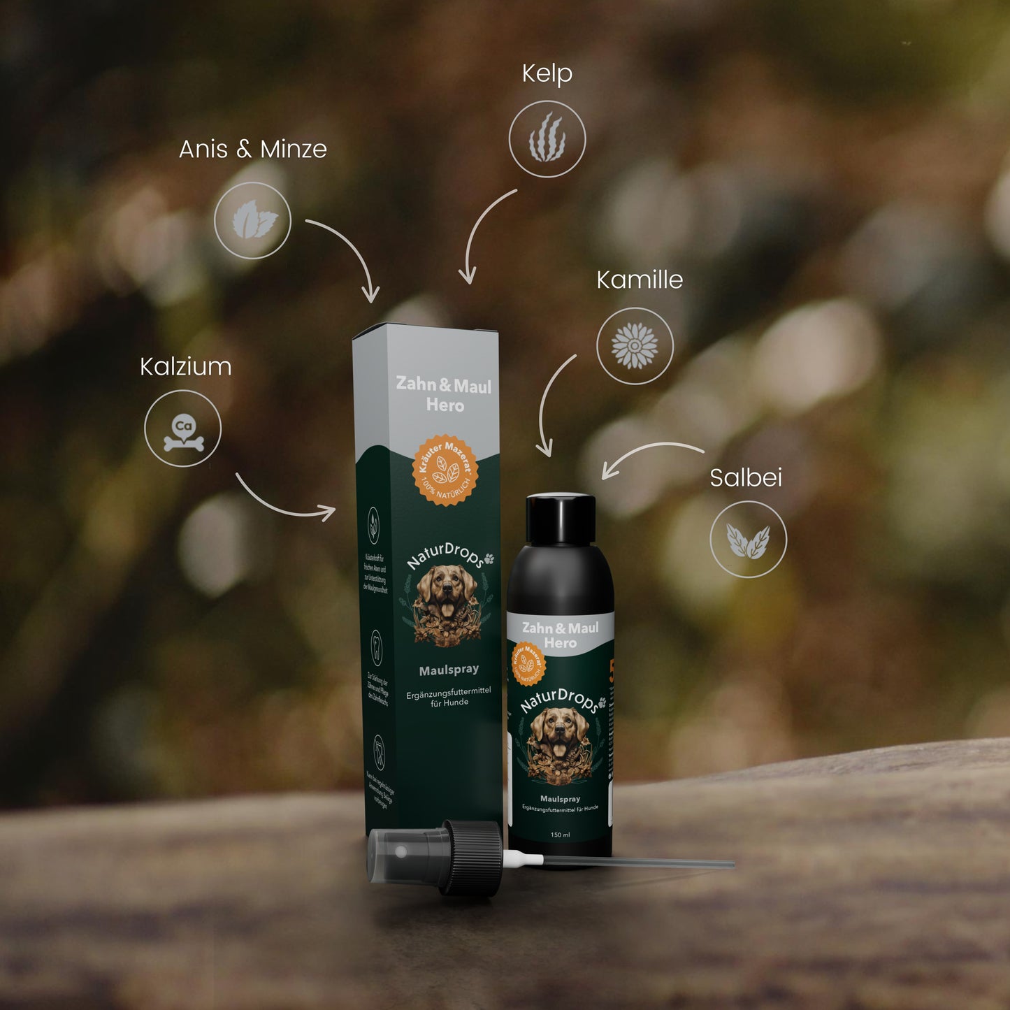 Produktabbildung von NaturDrops Zahn & Maul Hero Maulspray – Flasche und Verpackung mit Hundemotiv im Vordergrund, Sprayaufsatz daneben. Grafische Darstellung der natürlichen Inhaltsstoffe: Anis & Minze, Kalzium, Kelp, Kamille und Salbei. Naturhintergrund mit weicher Unschärfe.