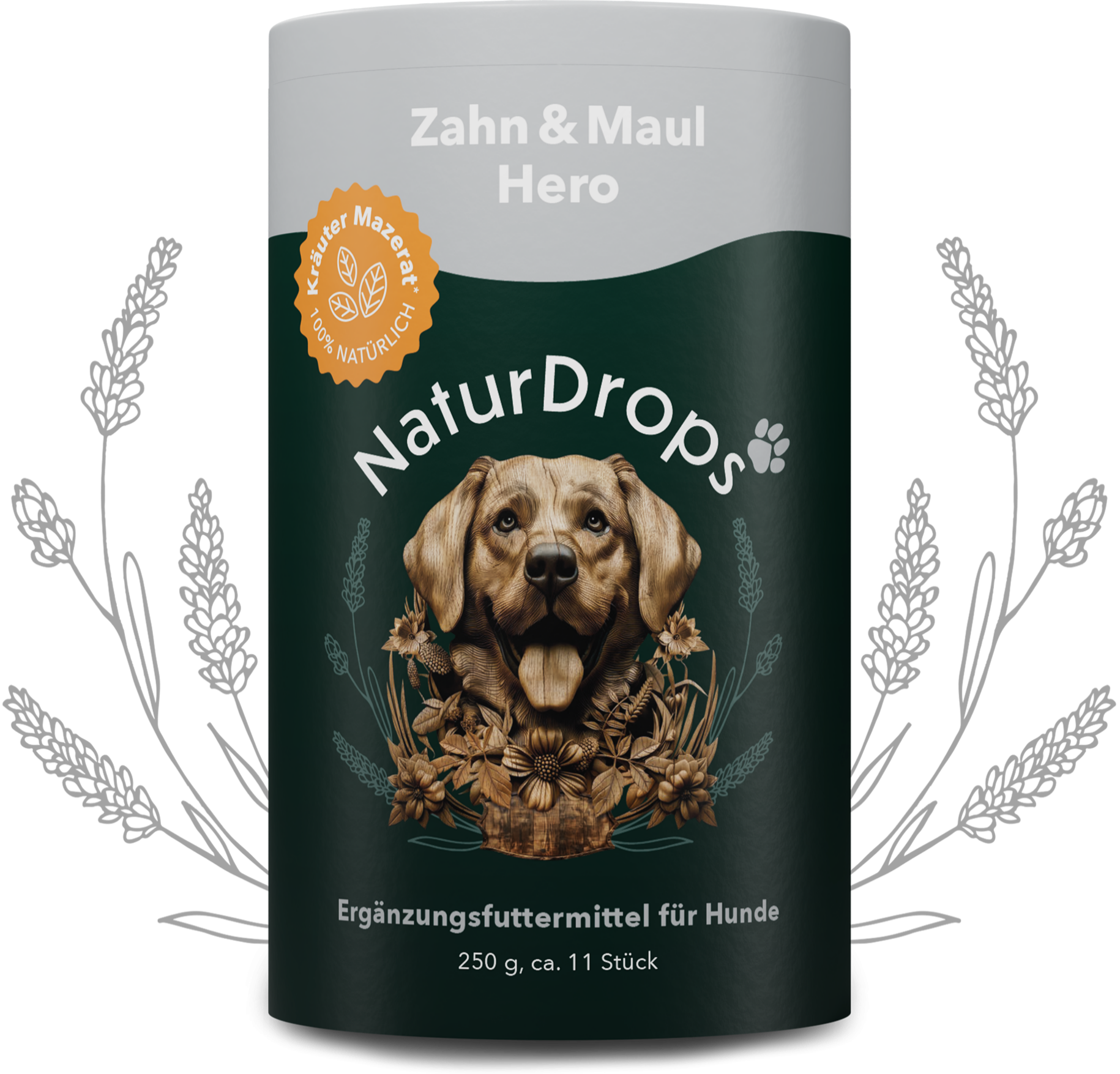 Zahn & Maul Hero Spray auf transparentem Hintergrund mit Blatt im Hintergrund, für natuerliche Maulhygiene und Zahnpflege bei Hunden.