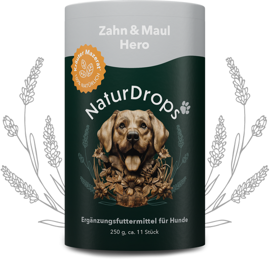 Zahn & Maul Hero Spray auf transparentem Hintergrund mit Blatt im Hintergrund, für natuerliche Maulhygiene und Zahnpflege bei Hunden.