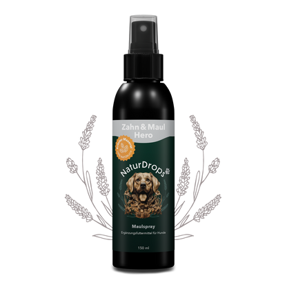Zahn & Maul Hero Spray auf transparentem Hintergrund mit Blatt im Hintergrund, für natuerliche Maulhygiene und Zahnpflege bei Hunden.