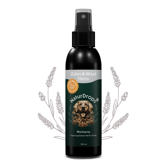 Zahn & Maul Hero Spray auf transparentem Hintergrund mit Blatt im Hintergrund, für natuerliche Maulhygiene und Zahnpflege bei Hunden.