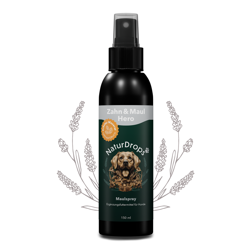 Zahn & Maul Hero Spray – Natürliche Zahnpflege