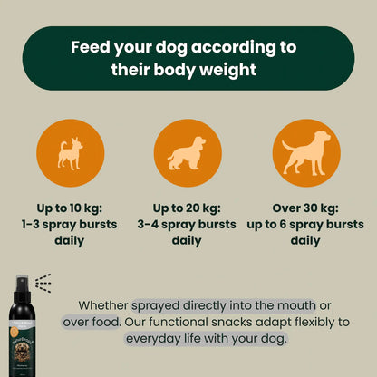 Tooth & Mouth Hero Spray – Natural dental care
