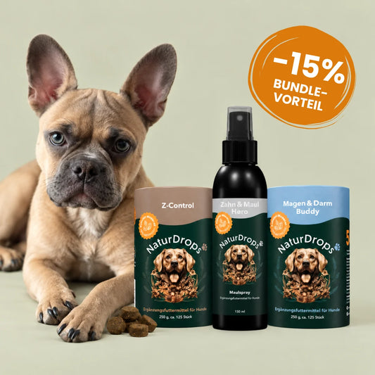 Alltagshelden Bundle – Z-Control, Zahn & Maul Hero Spray, Magen & Darm Buddy