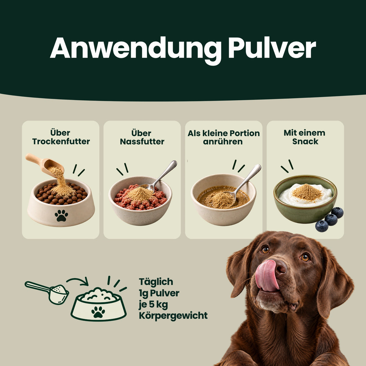 Darm-Balance Komplex – Für eine ausgeglichene Verdauung, ein ruhiges Bauchgefühl & gute Häufchen