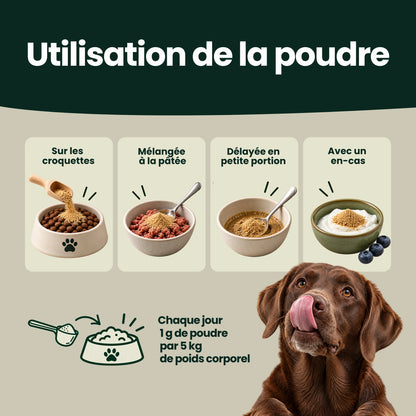 Complexe Sérénité-Équilibre – Pour le calme intérieur, la détente et l'équilibre émotionnel