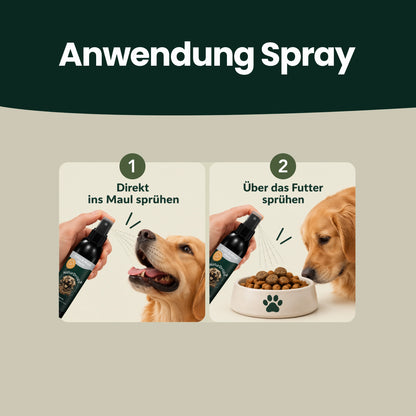 Zahn & Maul Hero Spray – Für die tägliche Zahn- und Maulpflege.