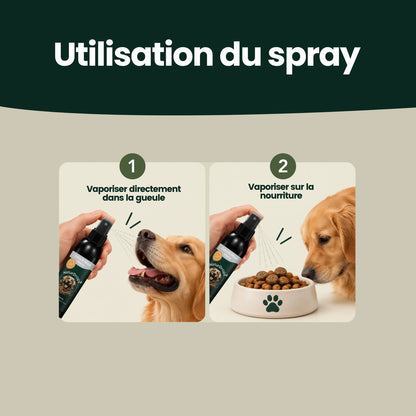 Zahn & Maul Hero Spray – Pour les soins dentaires et bucco-dentaires quotidiens