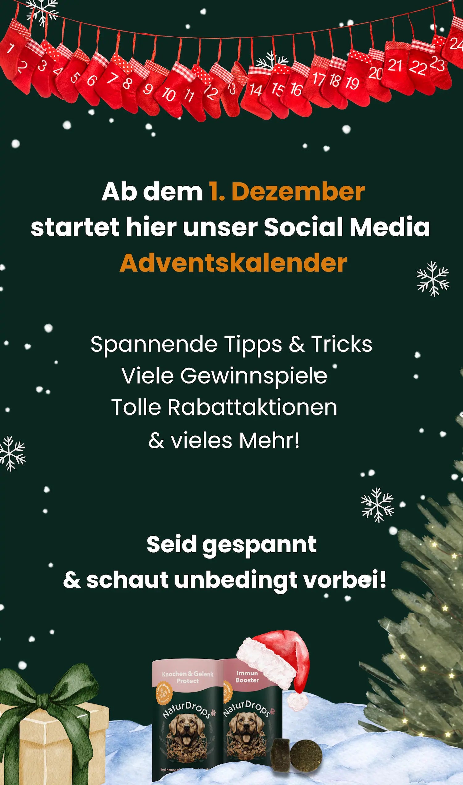 Banner zum Start des Adventskalenders am 1. Dezember fuer Social Media
