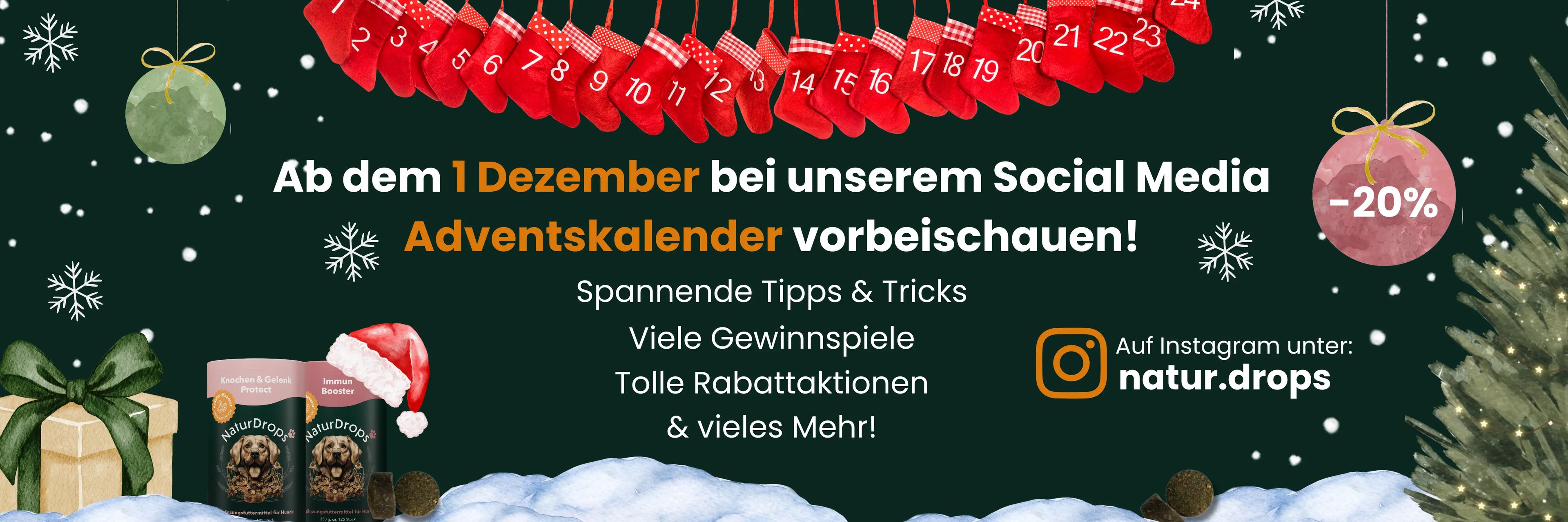 Desktop Banner zum Start des Adventskalenders am 1. Dezember fuer Social Media