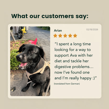 Gut-Balance Complex – For balanced digestion, a settled tummy & healthy poops