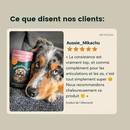 Os & Articulations Protection – Pour les os et les articulations