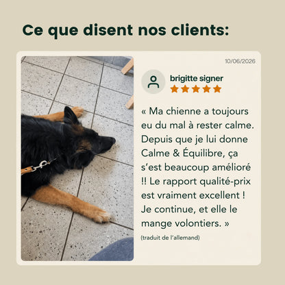 Complexe Sérénité-Équilibre – Pour le calme intérieur, la détente et l'équilibre émotionnel