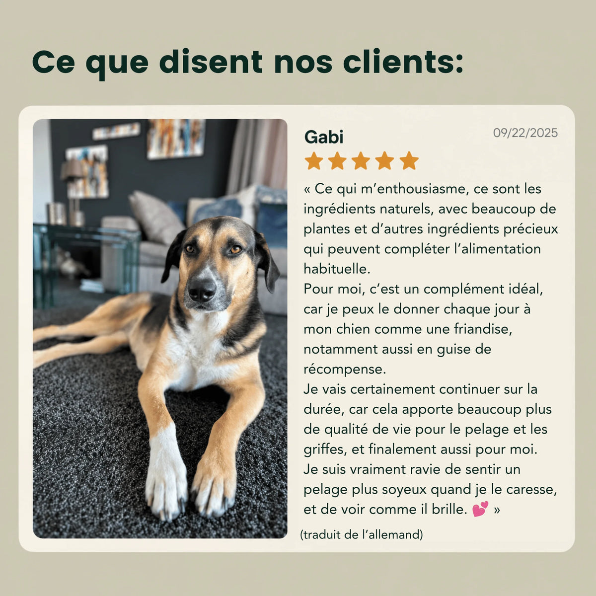 Peau & Pelage – Pour le soin de la peau, du pelage et des griffes