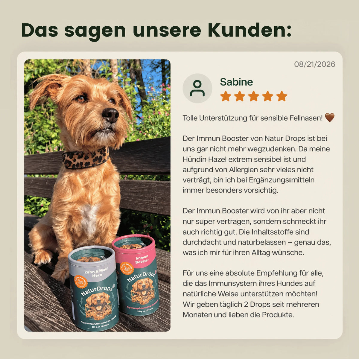 Immun Booster – Zur Stärkung des Immunsystems