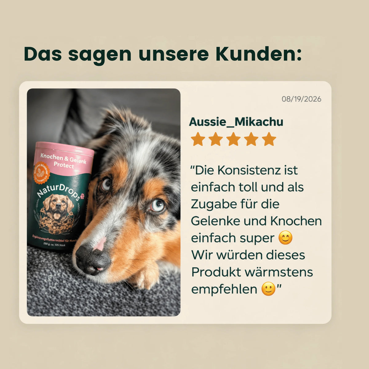 Knochen & Gelenk Protect – Für Knochen und Gelenke