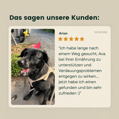 Darm-Balance Komplex – Für eine ausgeglichene Verdauung, ein ruhiges Bauchgefühl & gute Häufchen