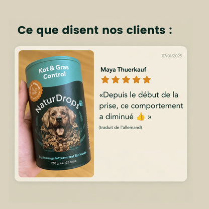 Contrôle des fèces et de l'herbe – Pour les chiens qui mangent souvent des excréments et de l'herbe
