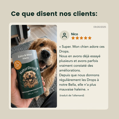 Zahn & Maul Hero Bâtonnets à mâcher – Pour les soins dentaires et bucco-dentaires quotidiens