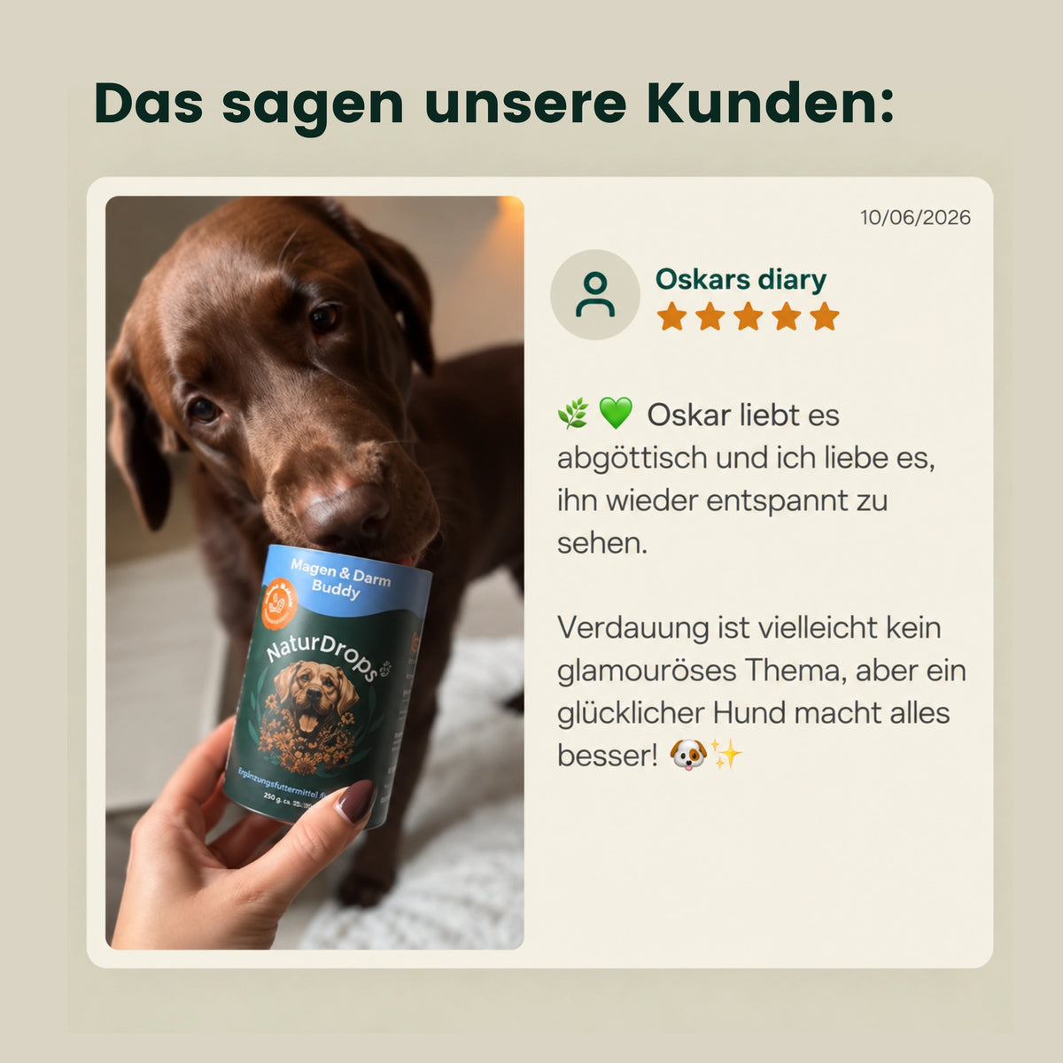 Magen & Darm Buddy – Bei empfindlichem Magen