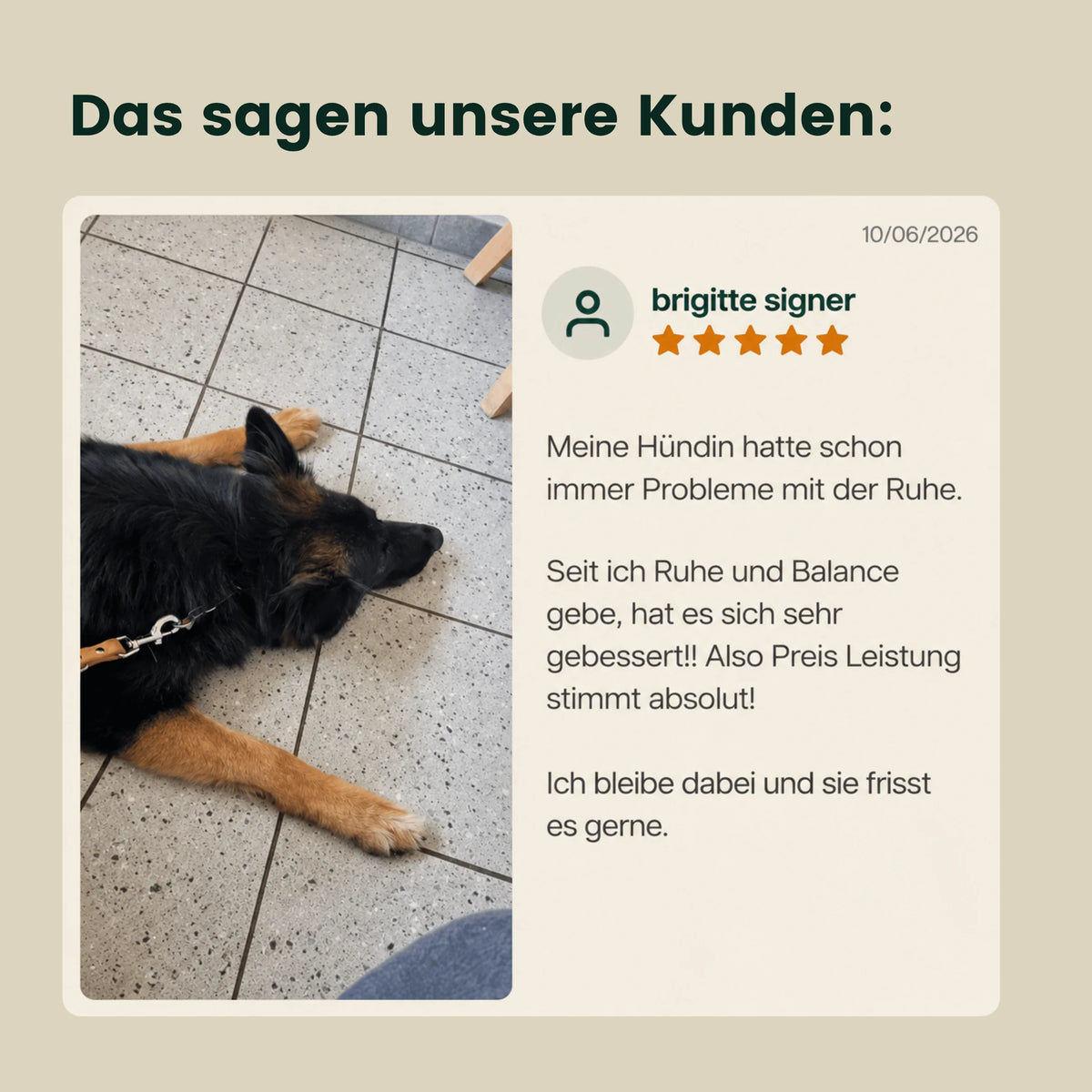 Ruhe-Balance Komplex – Für innere Ruhe, Gelassenheit & emotionale Ausgeglichenheit