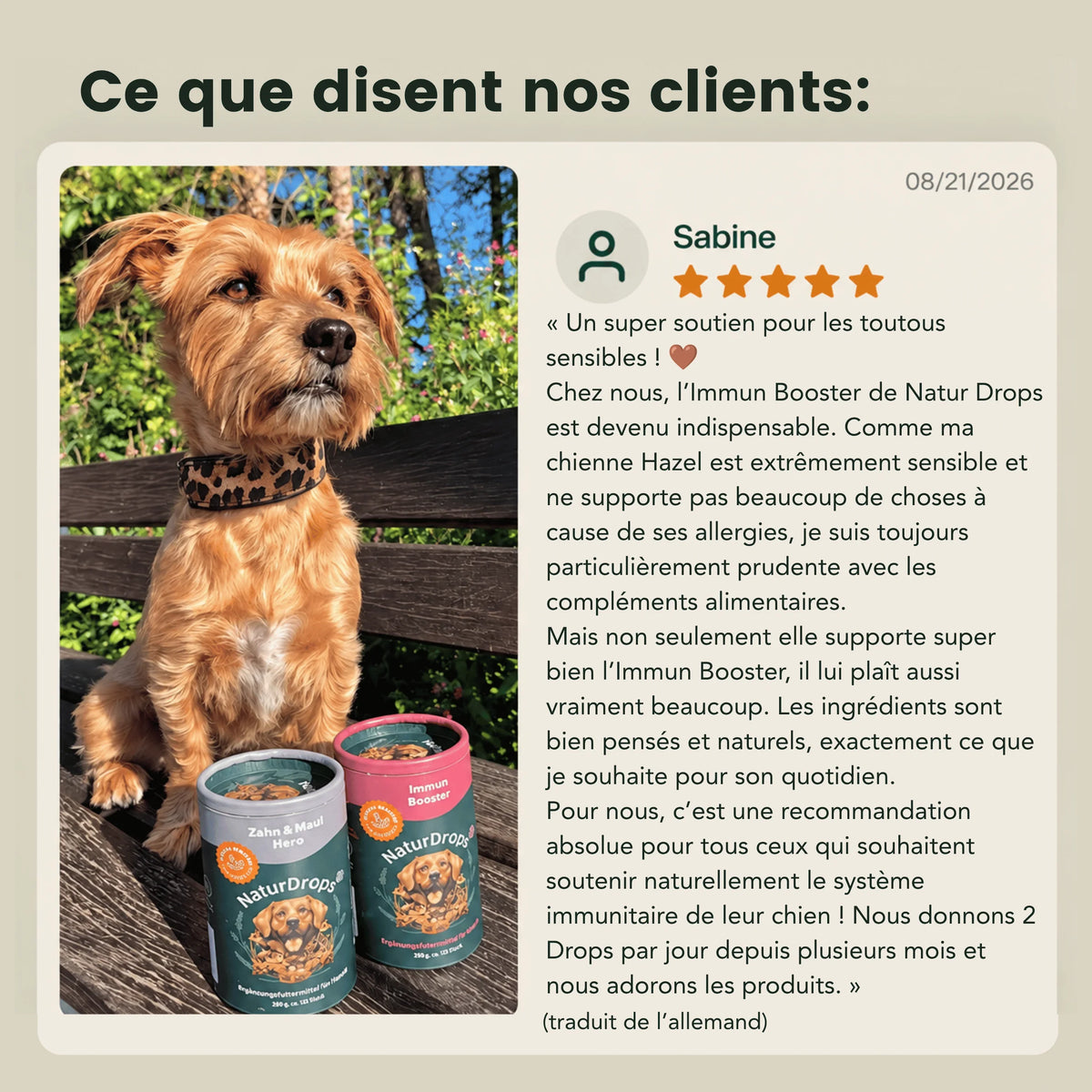 Immun-Booster – Pour renforcer le système immunitaire