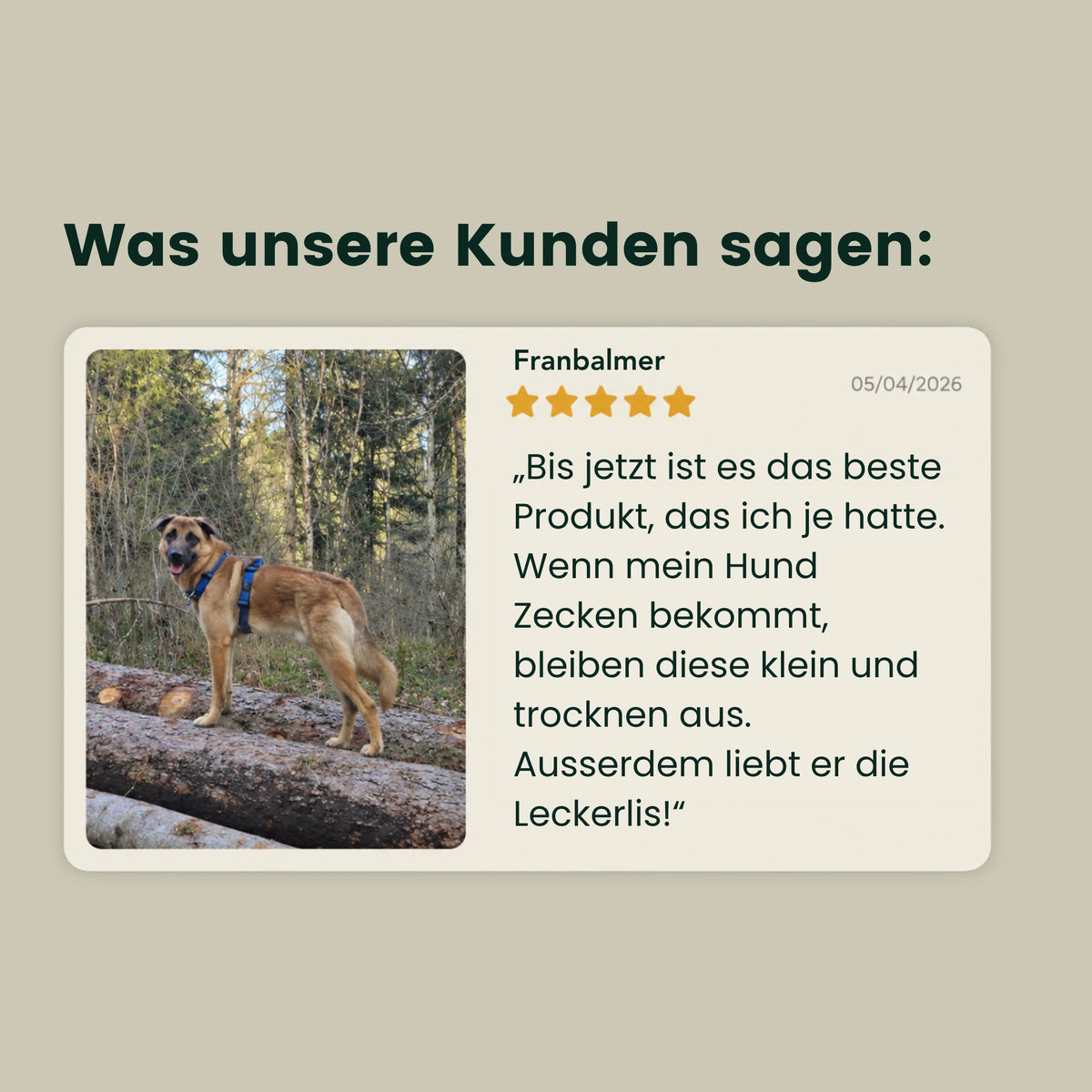 Z-Control – Natürlich durch die Zeckenzeit
