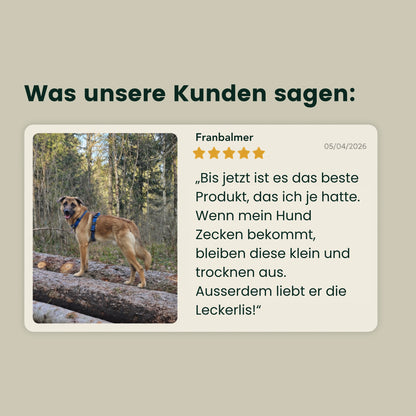 Z-Control – Natürlich durch die Zeckenzeit