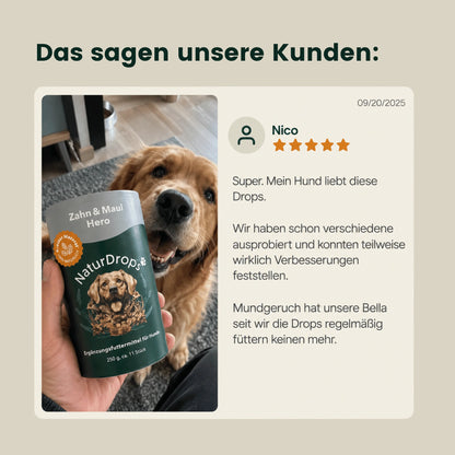 Zahn & Maul Hero Kaustangen – Für die tägliche Zahn- und Maulpflege