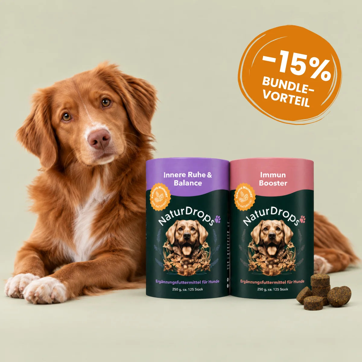 Boost & Balance Bundle – Innere Ruhe & Balance & Immun Booster