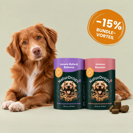 Boost & Balance Bundle – Innere Ruhe & Balance & Immun Booster