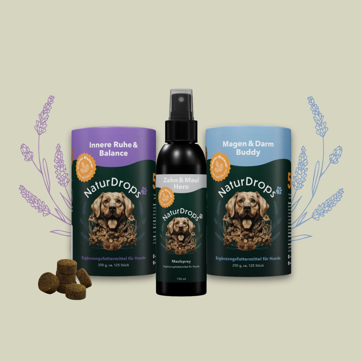 Calm & Care Bundle für Hunde – Empfindlicher Magen, Maulhygiene & innere Ruhe