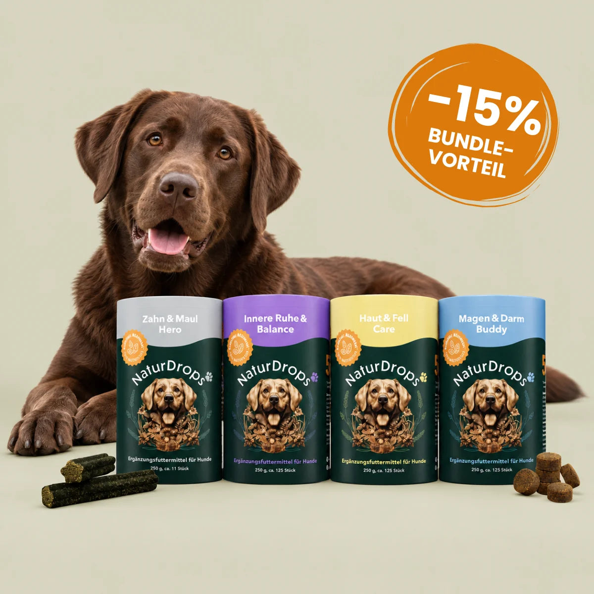 Daily Essentials Bundle – Zahn & Maul Hero, Innere Ruhe & Balance, Haut & Fell Care, Magen & Darm Buddy