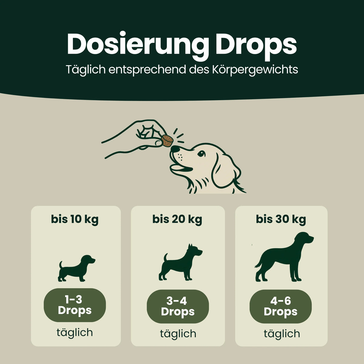 Knochen & Gelenk Protect – Für Knochen und Gelenke