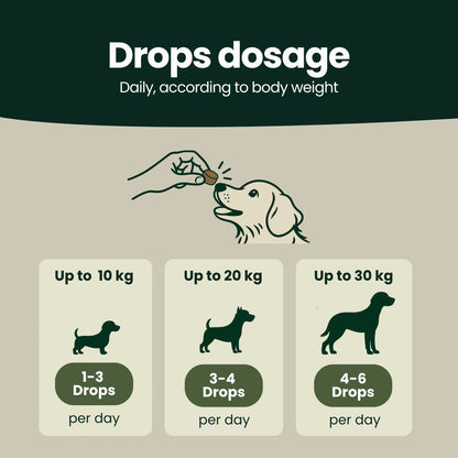Z-Control – Naturally through tick season