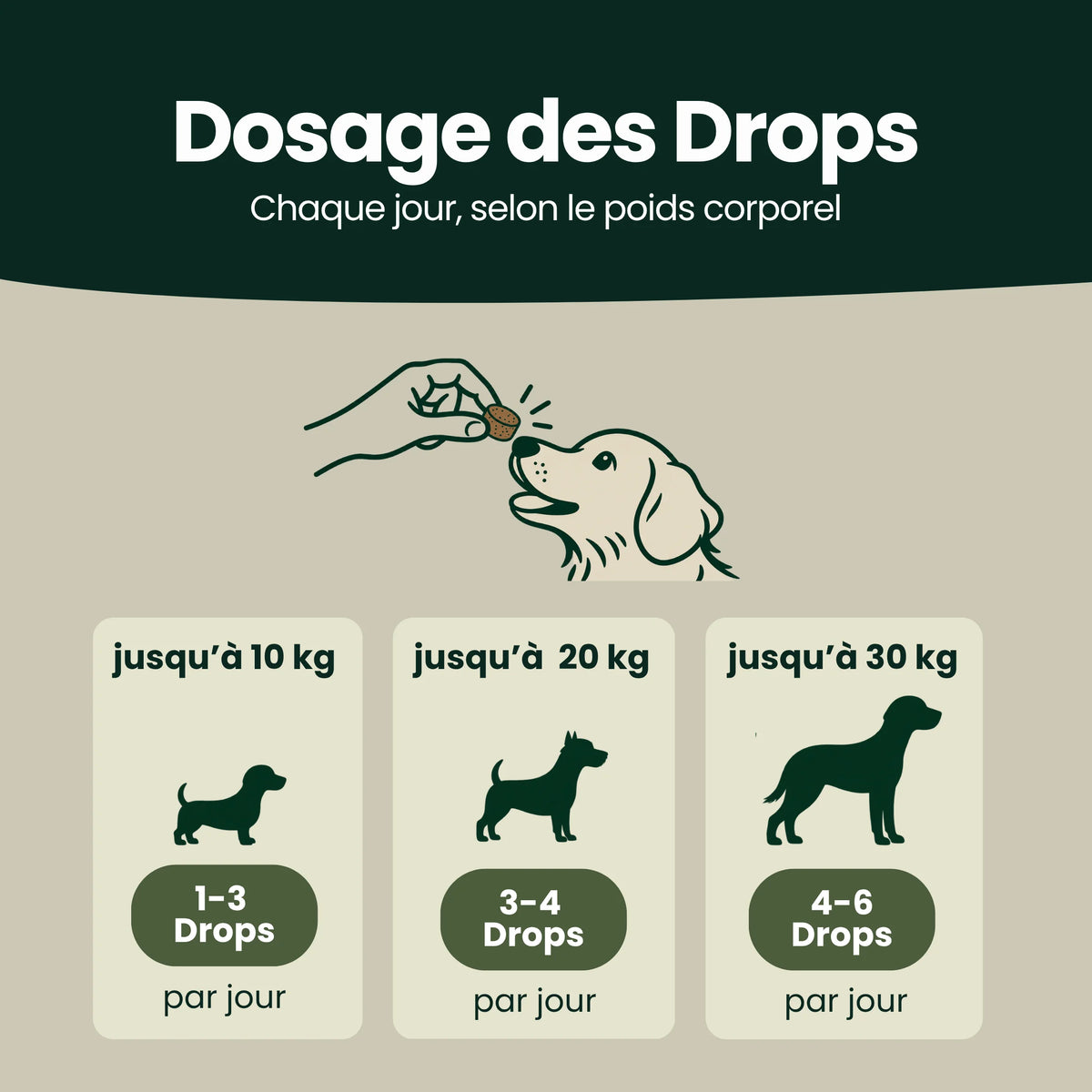 Z-Control – Naturellement à travers la saison des tiques
