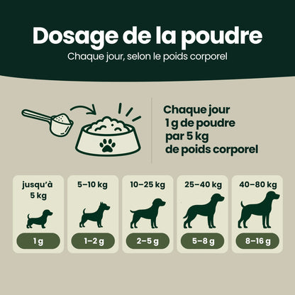 Complexe Sérénité-Équilibre – Pour le calme intérieur, la détente et l'équilibre émotionnel