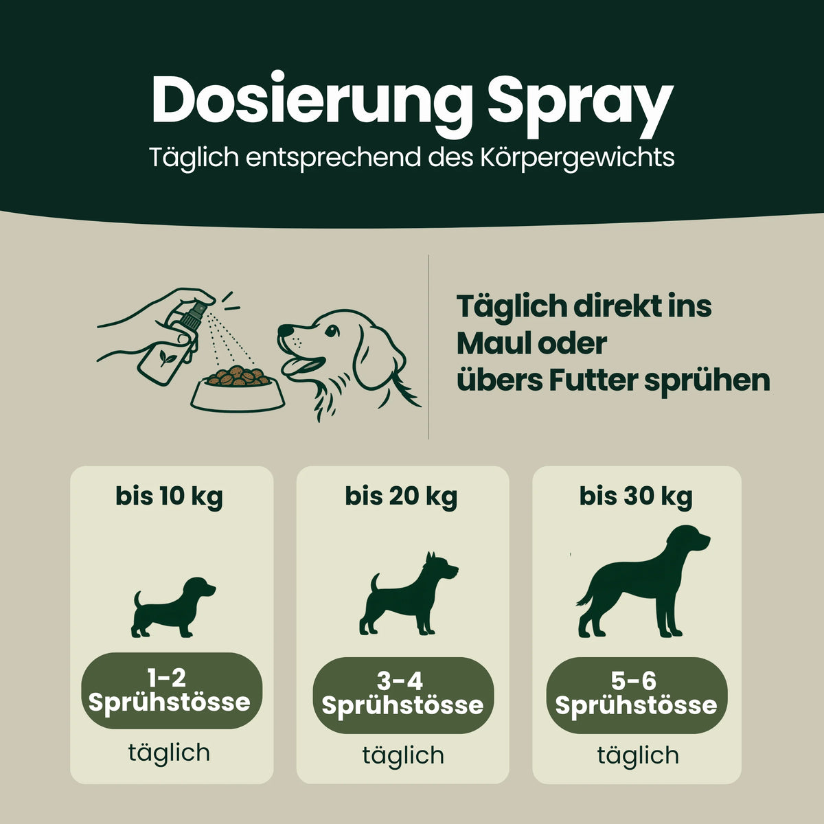 Zahn & Maul Hero Spray – Für die tägliche Zahn- und Maulpflege.