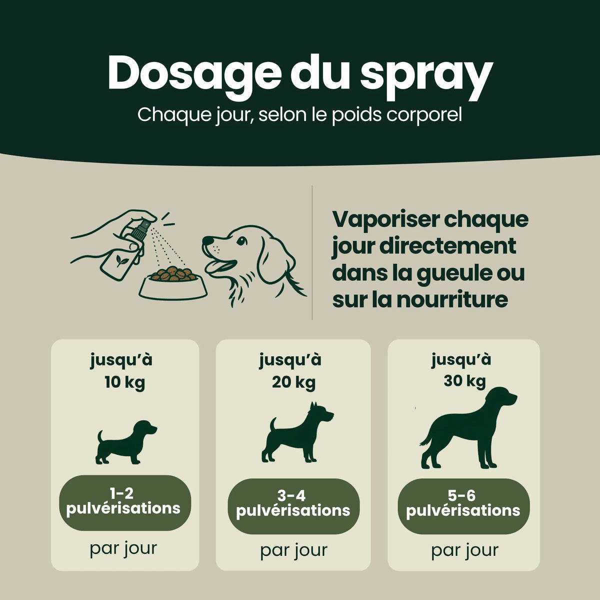 Zahn & Maul Hero Spray – Pour les soins dentaires et bucco-dentaires quotidiens