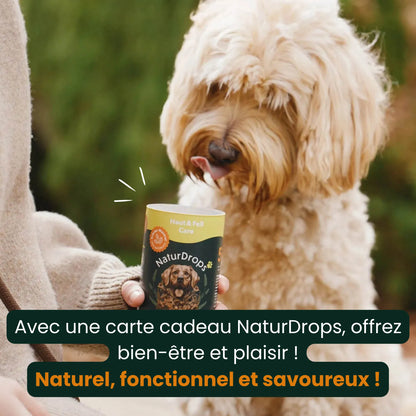 Bon cadeau : le cadeau parfait pour les chiens