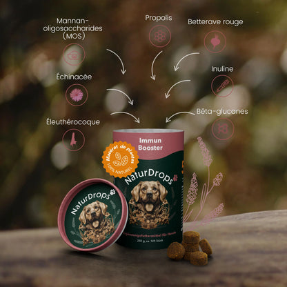 Immun-Booster – Pour renforcer le système immunitaire