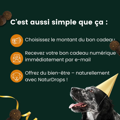Bon cadeau : le cadeau parfait pour les chiens