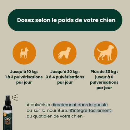 Zahn & Maul Hero Spray – Soin dentaire naturel