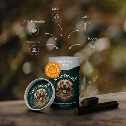 Bâtonnets à mâcher Zahn & Maul Hero – Soin dentaire naturel