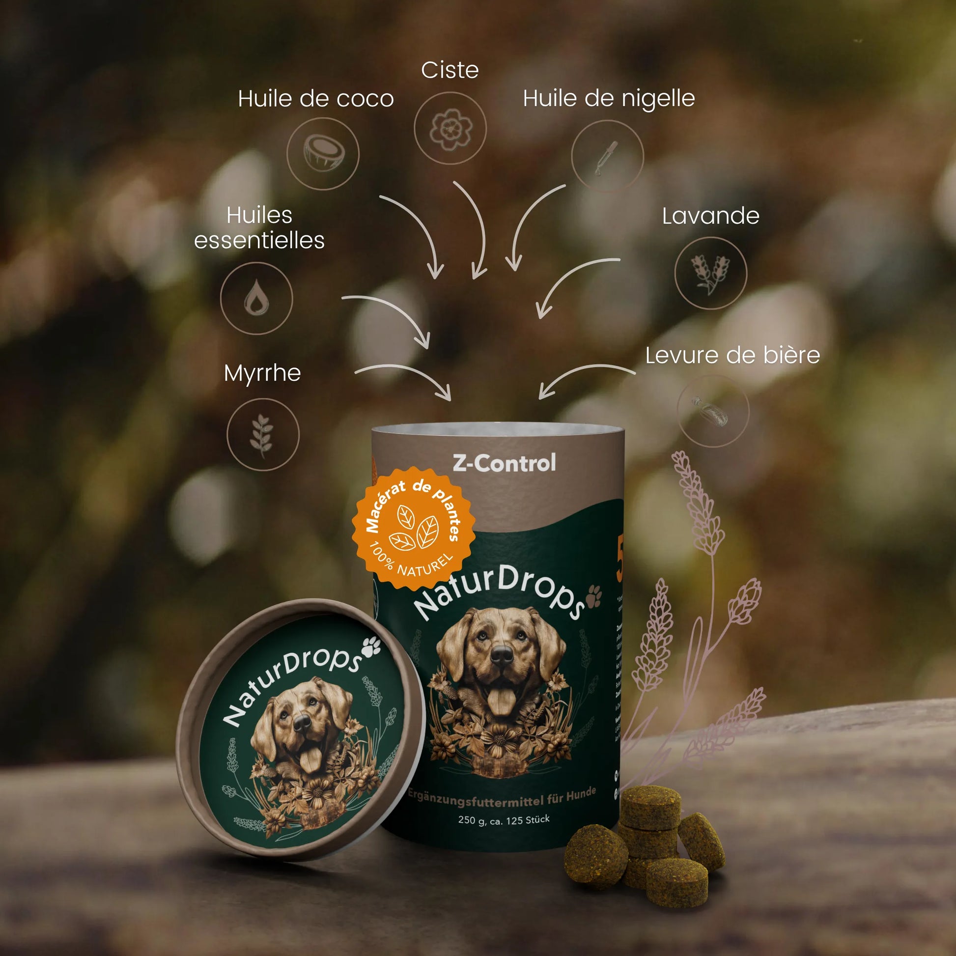 Z-Control – Un soutien naturel pour votre chien pendant la saison des tiques