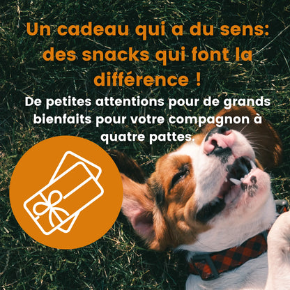 Bon cadeau : le cadeau parfait pour les chiens