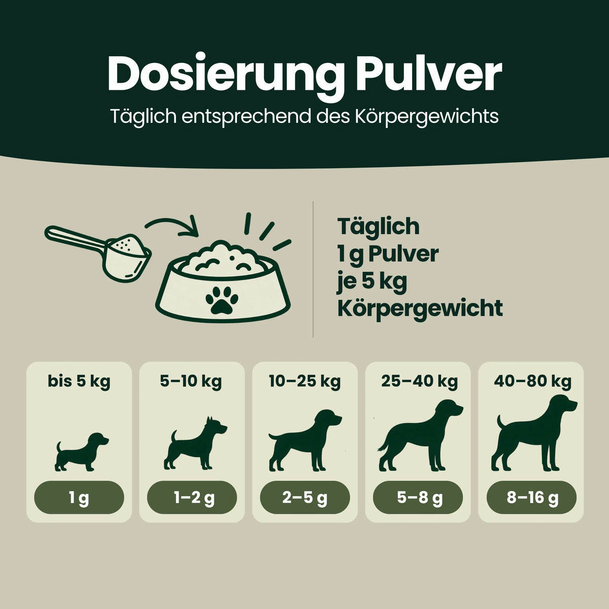 Darm-Balance Komplex – Für eine ausgeglichene Verdauung, ein ruhiges Bauchgefühl & gute Häufchen