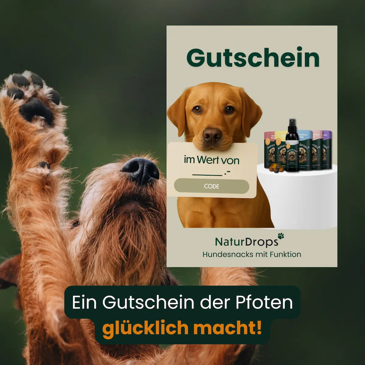 Hund mit erhobenen Haenden und Hinweis auf einen Gutschein der Pfoten gluecklich macht