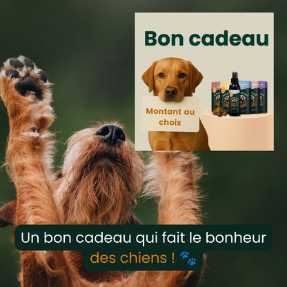 Bon cadeau : le cadeau parfait pour les chiens